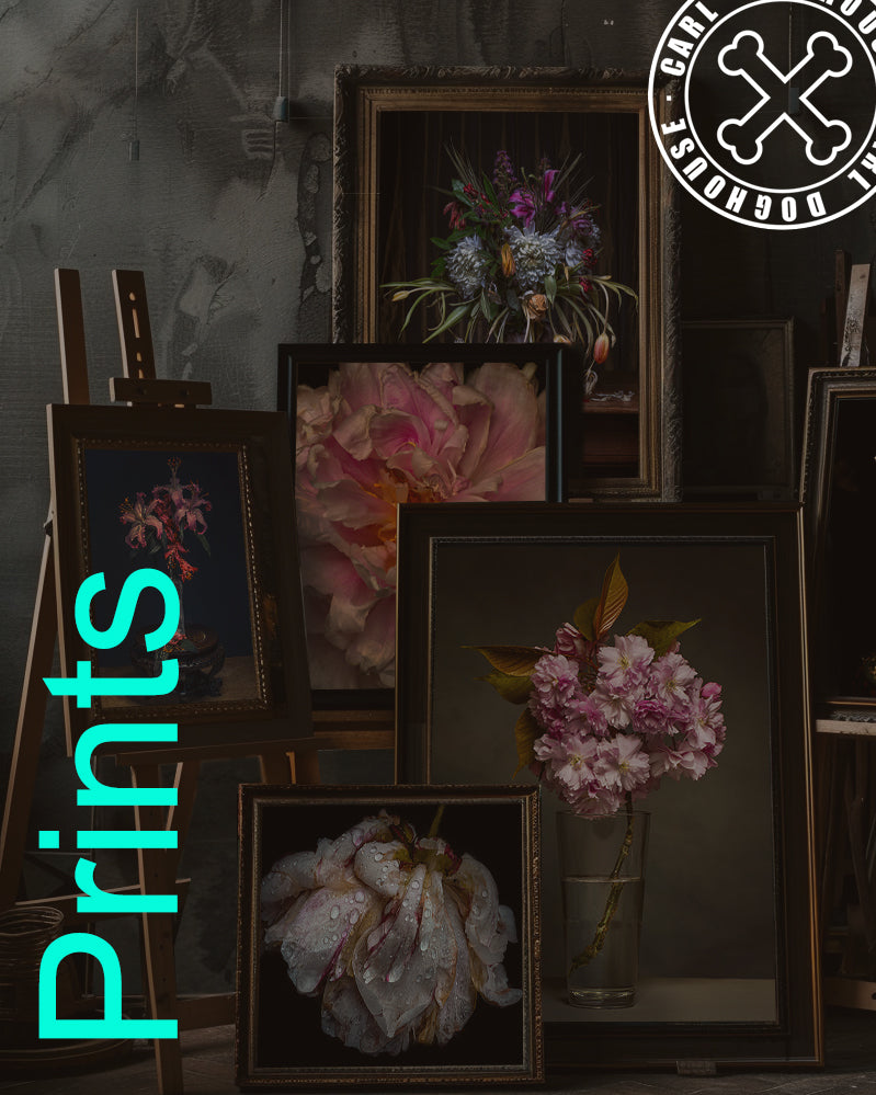 FINE ART PRINTS