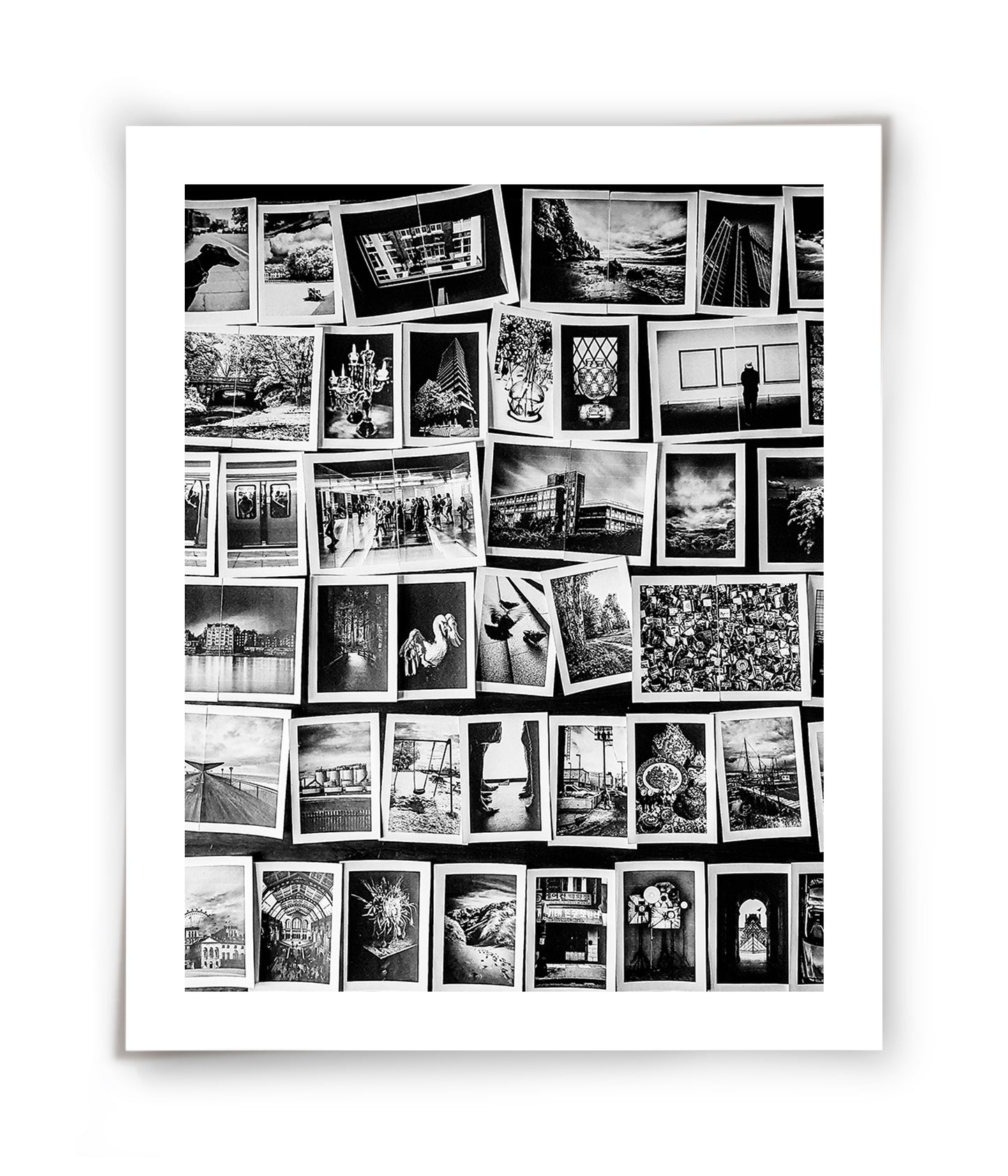 Help a Photographer Level Up: Sponsor My Leica  Monocrom Obsession